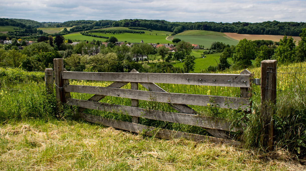 Het Limburgse Heuvelland.