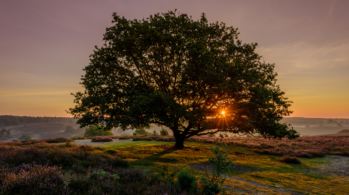 Nationaal Park Veluwezoom.