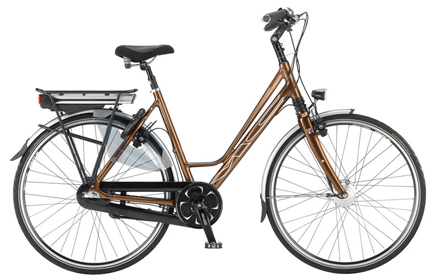 E-bike Multicycle Expressive-E |