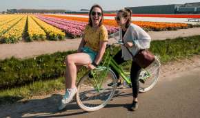 Beeld bij Fietsroutes op de grens van…