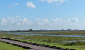 Beeld bij Over Voorne-Putten