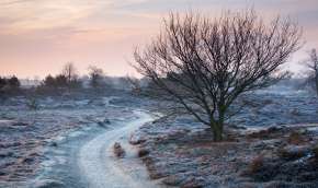 Beeld bij Schilders van Drenthe
