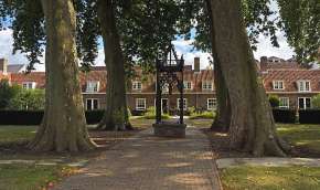 Beeld bij Een machtige kroon van platanen