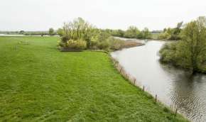 Beeld bij Het rivierenlandschap van Gelderland