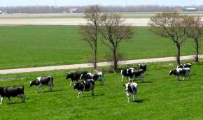 Beeld bij Door de Wieringermeer