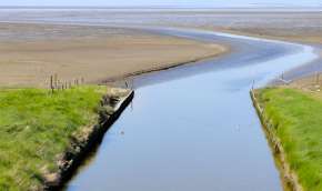 Beeld bij De kust van Noord-Friesland
