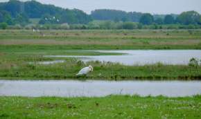 Beeld bij Een Deltadam in Noord-Brabant