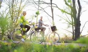 Beeld bij Even weg van alles: op de fiets door de Veluwe met route-nl