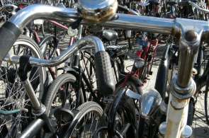 Beeld bij Gouverneur Kinsbergenroute