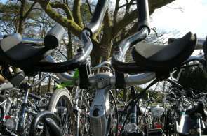 Beeld bij Fietsen en thee drinken in Ostfriesland