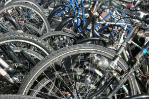 Beeld bij Bollenfietsroutes door de Bollenstreek