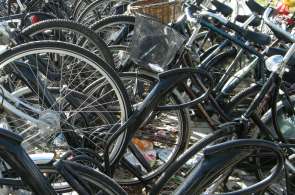Beeld bij Vier fietsroutes rond Doetinchem