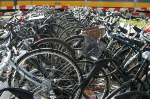 Beeld bij RSS-Feeds, Gastenboek en Waarderingscijfers