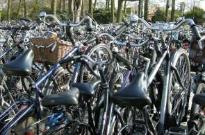 Beeld bij Rondje Oudenbosch