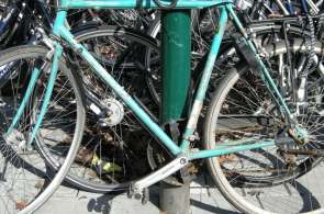 Beeld bij Getijdenfietsroute langs de Zeeschelde