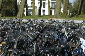 Beeld bij Op en rond de Kalmthoutse Heide