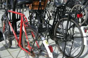 Beeld bij 'Gigantisch aanbod fietsroutes w.o. Bollenroute'