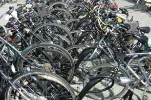 Beeld bij Gezinnen op de fiets