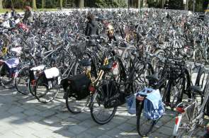 Beeld bij Top veertig van de populairste fietsroutes