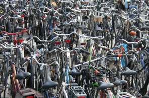 Beeld bij Tien Heuvelrugse fietsroutes