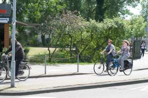 Beeld bij Top 10 mooiste natuurfietsroutes van Nederland
