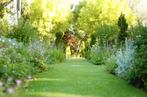 Beeld bij Top 5 tuinenfietsroutes