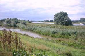 Beeld bij Drie mooie fietsroutes via knooppunten in Overijssel