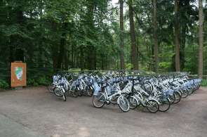 Beeld bij Fietsen in het Nationale Park De Hoge Veluwe