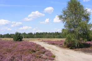 Beeld bij Drie mooie fietsroutes door Drenthe