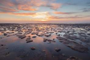 Beeld bij Drie Waddenzeeroutes