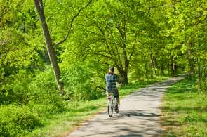 Beeld bij De mooiste schaduwrijke fietsroutes