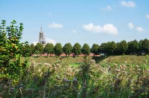 Beeld bij Kerkenronde in het land van Reynaerdt de Vos