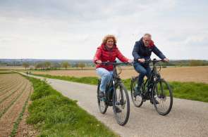 Beeld bij Moeiteloos de Cauberg op!