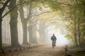 Beeld bij Vier mooie herfstroutes