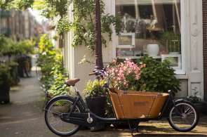 Beeld bij Hoe is het nu met Babboe?