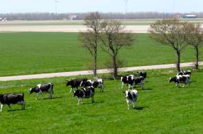 Beeld bij Door de Wieringermeer