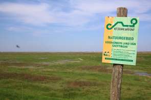 Beeld bij Langs het Verdronken Land van Saeftinghe