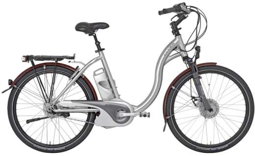 Purper Monetair Vakantie E-bike Flyer C8 Deluxe | Fietsen123