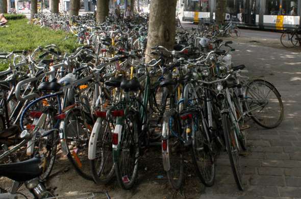 Beeld bij Passiflorahoeve