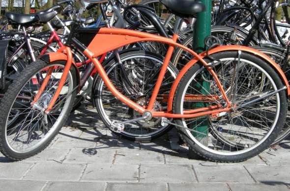 Beeld bij Bloemenpluktuin Steede Hoge Woerd