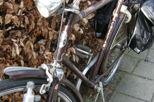 Beeld bij Pluktuin Miss Tuinboon