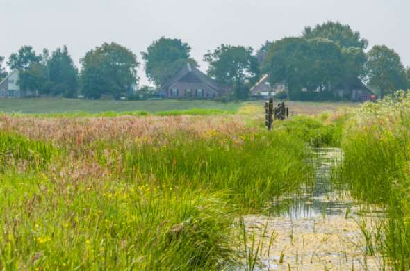 Beeld bij Langs de Meet