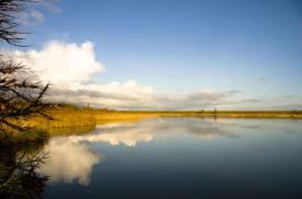 Beeld bij Lauwersmeer route