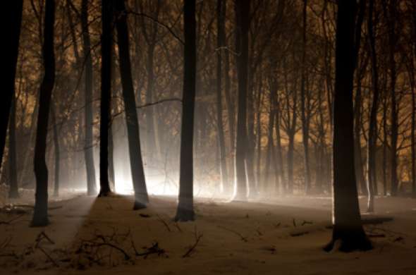 Beeld bij Leenderbos