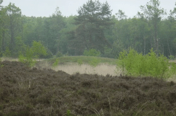 Beeld bij Gasselterveldroute