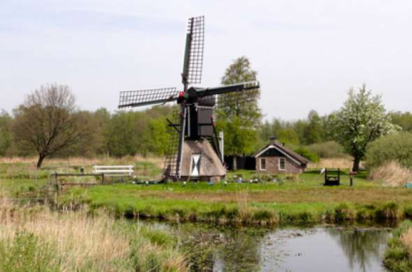 Beeld bij Nat.Park De Weerribben