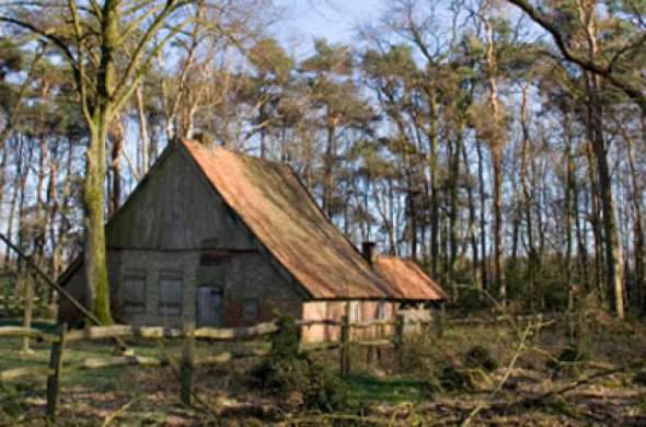 Beeld bij Hengelo - Borne - Delden tocht