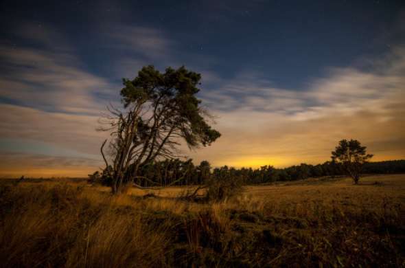 Beeld bij Velp, Doesburg en De Steeg