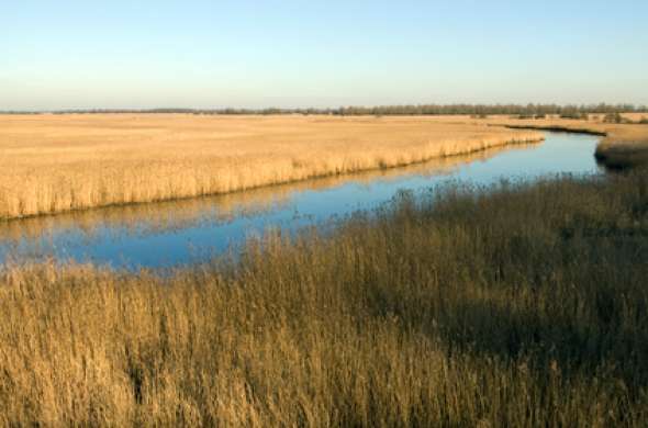 Beeld bij Nationaal Park Lauwersmeer