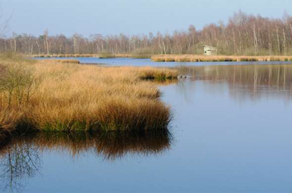 Beeld bij Nationaal Park De Groote Peel